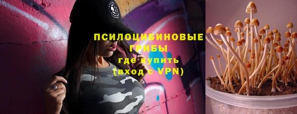 дурь Зеленокумск