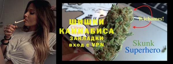 стаф Зеленодольск