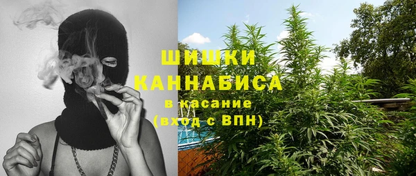 стаф Зеленодольск