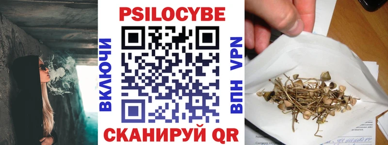 Купить  Невель  Псилоцибиновые грибы мицелий 